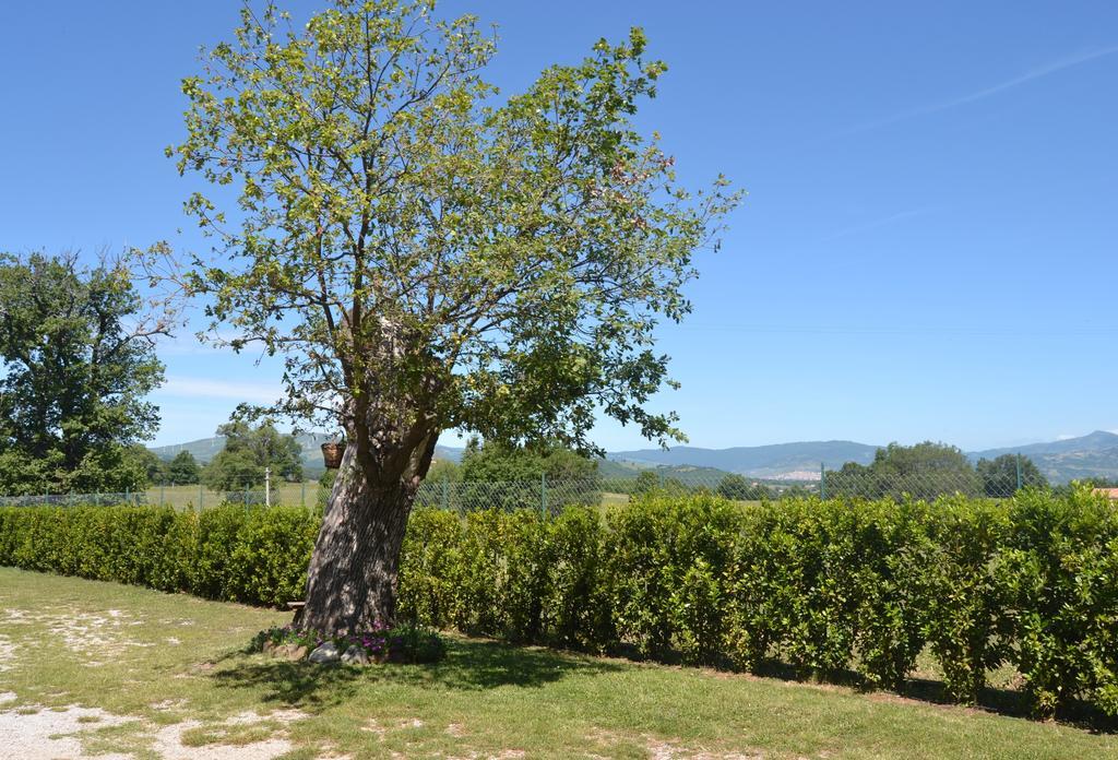 Al Bosco Delle Api 호텔 Gallicchio 외부 사진
