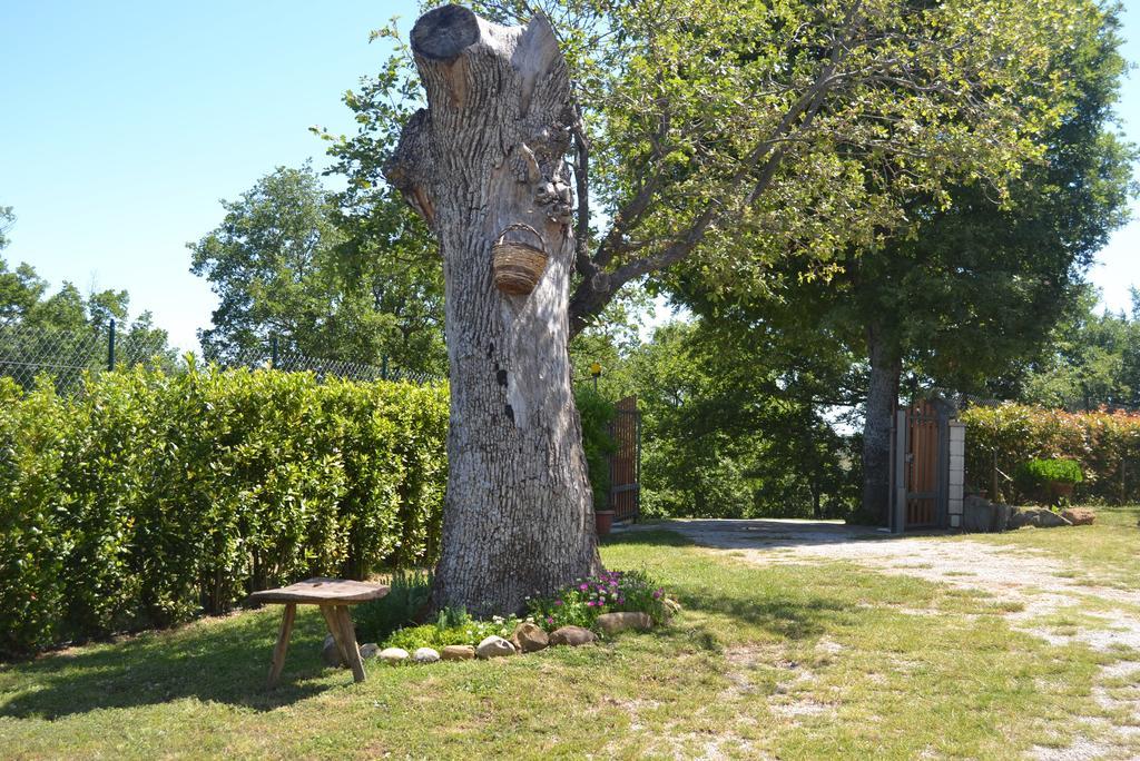 Al Bosco Delle Api 호텔 Gallicchio 외부 사진