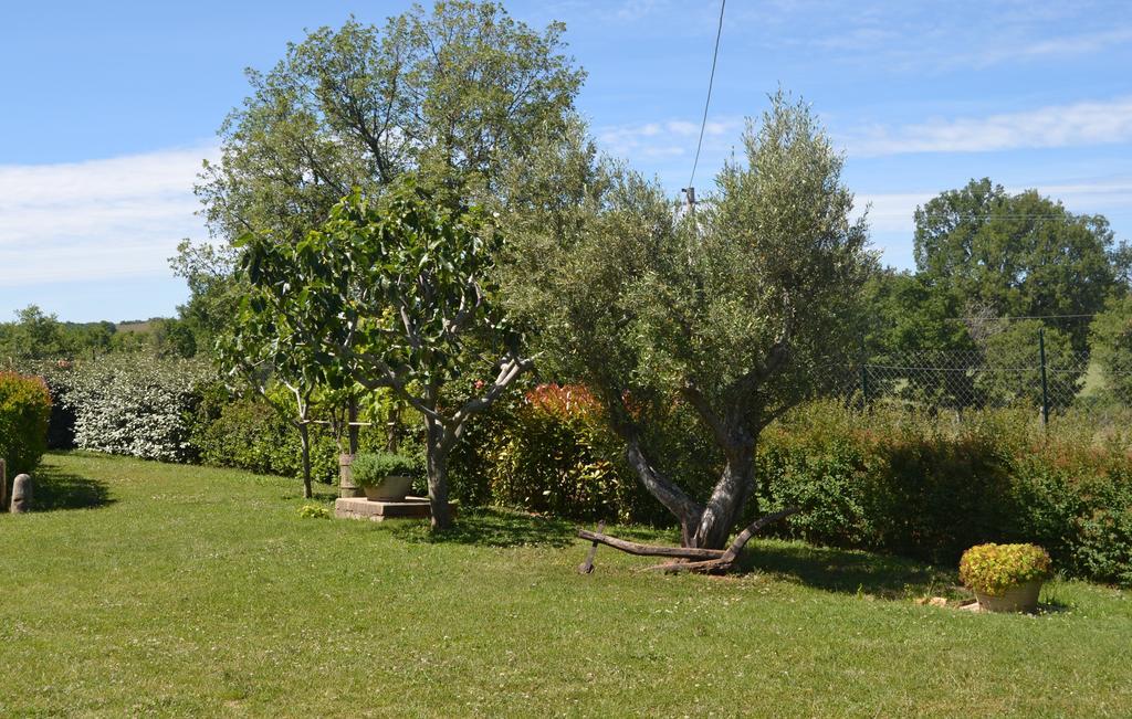 Al Bosco Delle Api 호텔 Gallicchio 외부 사진
